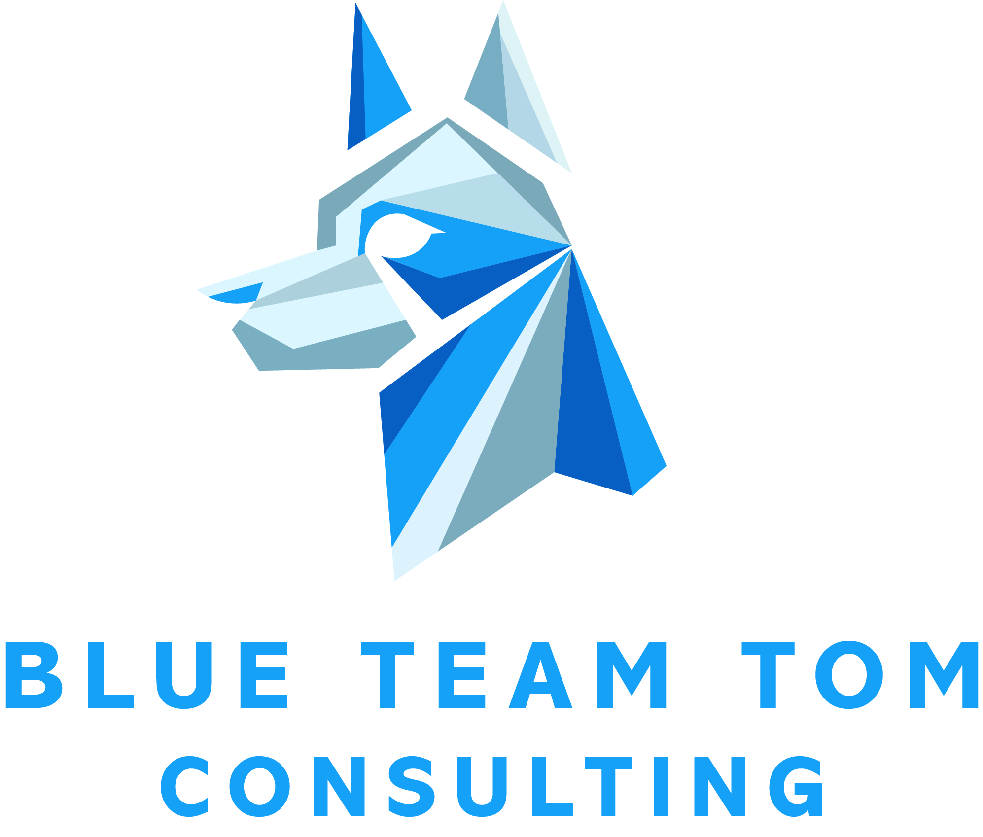 Blue Team Tom Consulting